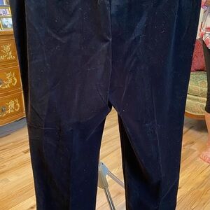 Size 18, Ann Taylor, Devon ankle pants, crushed velvet feel, brand new with tags